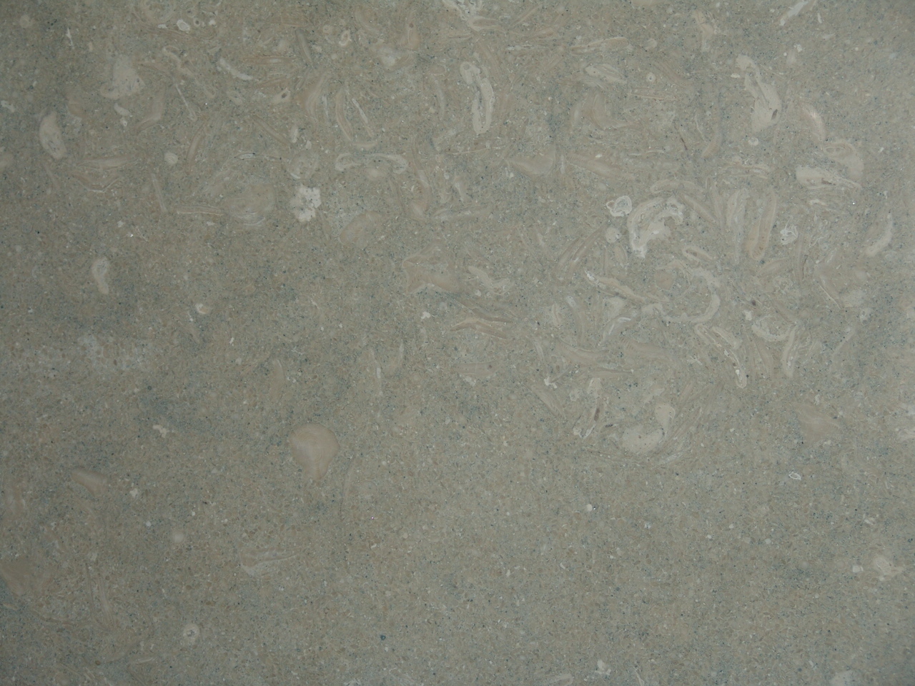 MARMI DI CARRARA Light Tone colour fine materials marbles IMAGE